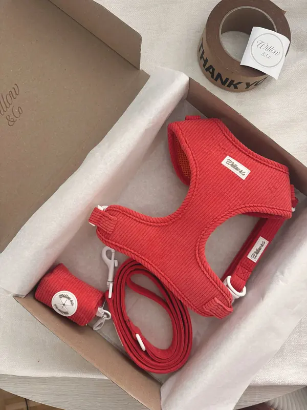 Das Komplettset Marco in seiner Geschenkbox