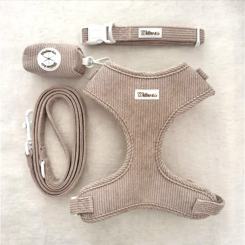 Set complet Yogi